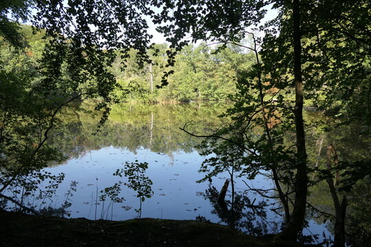 Maunzenweiher bei Frankfurt