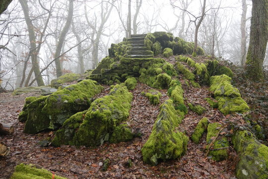 B&uuml;rgelplatte bei Kronberg im Taunus