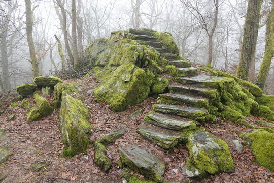 B&uuml;rgelplatte bei Kronberg im Taunus