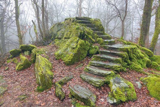 B&uuml;rgelplatte bei Kronberg im Taunus