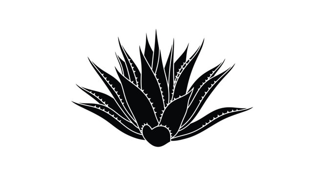 agave plant silhouette on transparent background high quality