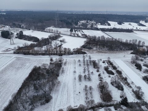 Winter bei Urberach