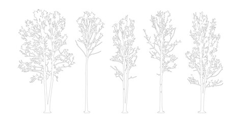 Fototapeta premium Minimalist tree line art vector set, hand drawn architectural tree sketches, 5 deciduous tree outlines for landscape design and site plans
