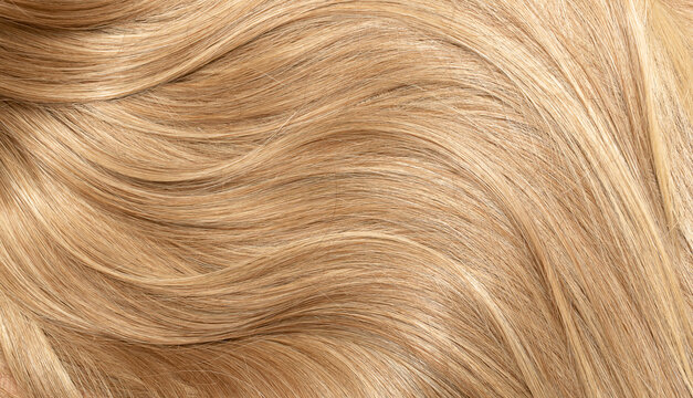 Blond hair close-up as a background. Women's long blonde hair. Beautifully styled wavy shiny curls. Hair coloring. Hairdressing procedures, extension.