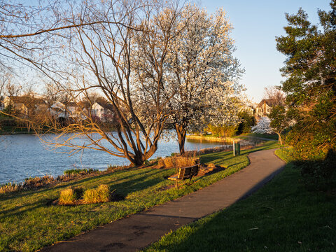 Park bench by the lake at sunset in Ashburn Village