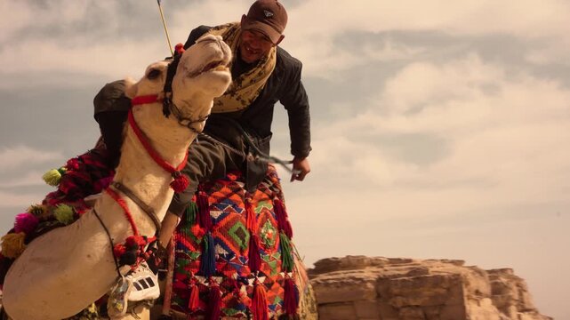 Local camel handler sitting on a camel near the Giza Pyramids in Egypt, gently guiding the animal with reins as the camel turns its head toward him, appearing to &ldquo;kiss&rdquo; him.