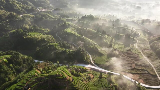 Misty morning landscape with terraced fields winding through mountain ridges and a serpentine road