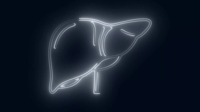 Neon human organ sign with dark blue background