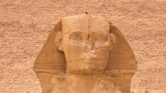 Close-up of the Great Sphinx of Giza head, frontal view, Giza Plateau, Egypt. A detailed frontal close-up of the head of the Great Sphinx on the Giza Plateau, Egypt. 