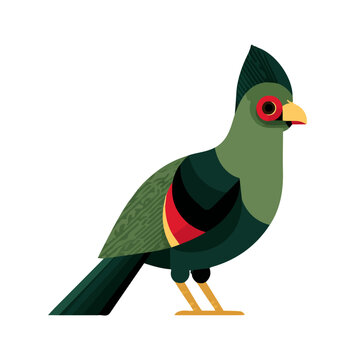 Turaco, clean 2D vector flat illustration in minimal and modern style on a white background.