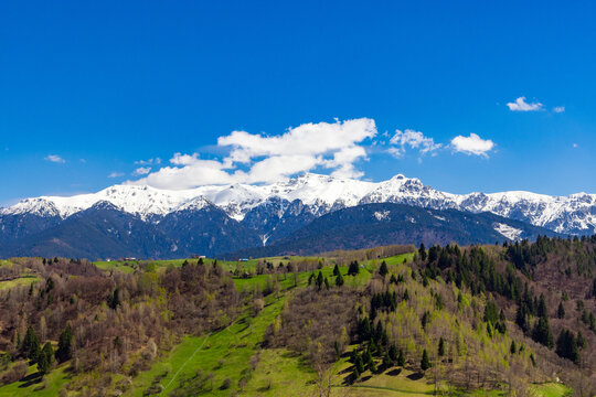 The snowy peaks of the Bucegi Mountains seen from the green hills of the village of Moieciu in Romania