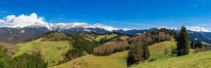 Obraz premium Landscape with green hills in the foreground and the Bucegi Mountains with snow-capped peaks in the background. Bucegi Mountains - Romania with snow on the peaks seen in spring