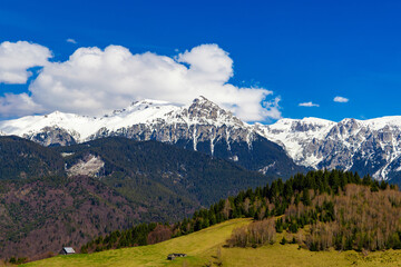 Fototapeta premium Landscape with green hills in the foreground and the Bucegi Mountains with snow-capped peaks in the background. Bucegi Mountains - Romania with snow on the peaks seen in spring