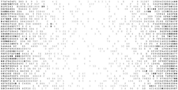 The Sparse Matrix - Minimalist Binary Data Stream with Clean Negative Space