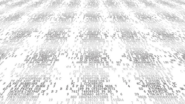 Perspective Spherical Logic - A Curvaceous Binary Horizon of Global Data Expansion and Technical Depth. Perspective.