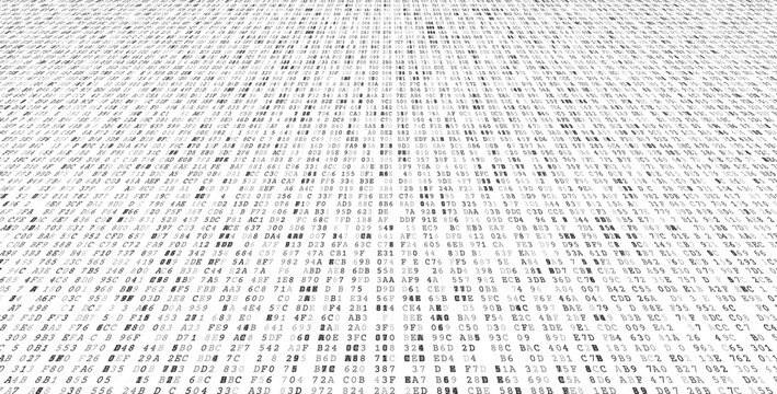 Systemic Bitstream Array - Precise Binary Triplets and Network Data Architecture. Perspective.