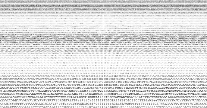 Bimodal Data Stream - Parallel Binary Processing Arrays Infrastructure. Perspective.