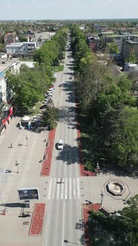 Vertical aerial drone flight over tree-lined main avenue in Vrbas, northern Serbia.