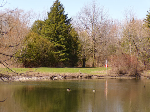 Spring landscape with lake and trees