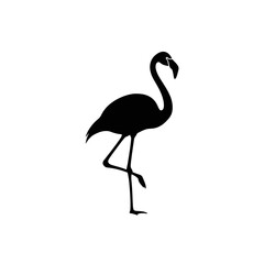 Fototapeta premium Black silhouette of elegant ostrich walking on transparent background minimalist design