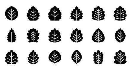 Fototapeta premium Black leaf icons, vector leaf symbols, foliage graphics, 16 leaf illustrations