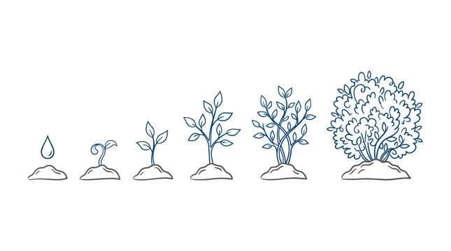 Minimalist line art illustration showing stages of plant growth from seed to a mature lush bush on white background, concept for business development, financial growth and environmental progress