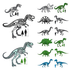 Dinosaur Skeletons Collection: T-Rex, Triceratops, Stegosaurus, Brontosaurus - Vector Art © Berang