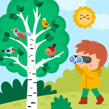 Square cartoon forest explorer background with cute birdwatching kid. Nature woodland landscape with boy watching birds sitting on birch tree. Wildlife scene with cute child, cuckoo, finch, robin