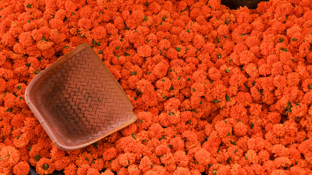 Orange marigold flowers and woven harvest basket
