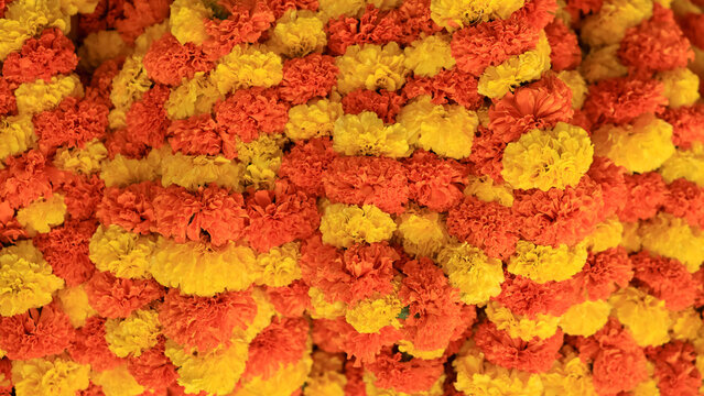 Marigold flowers creating vibrant orange and yellow floral background