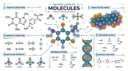 Naklejka premium Visual exploration of molecular structures and chemical representations diverse scientific
