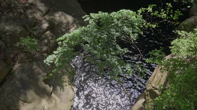 Scenery Around Nunobiki Falls in Kobe Japan