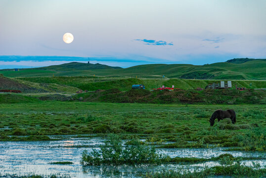 Icelandic horses grazing in peaceful countryside landscape under full moon in Iceland rural summer evening
