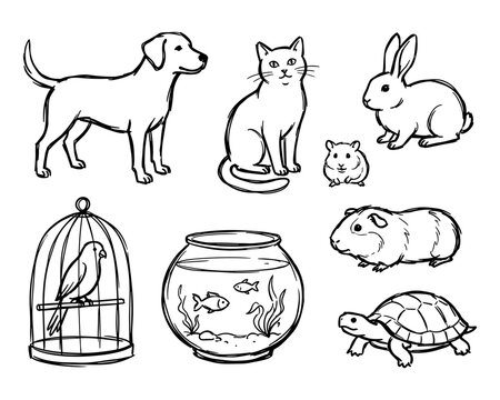 Pet animals sketch set domestic care and veterinary collection vector illustration