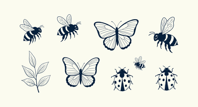 Vintage Hand Drawn Insects Vector Set Featuring Bees Butterflies Ladybugs and a Leafy Branch