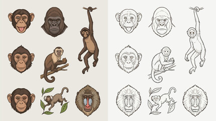 Collection of colorful and line-art illustrations of various monkey species, including chimpanzees, gorillas, and baboons, in different poses and close-ups. © renender