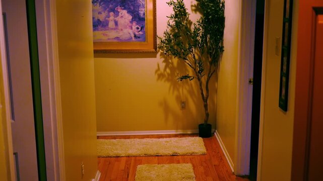 Camera pans up a modern hallway in modern home