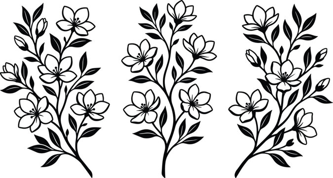Floral branch silhouettes collection, blossom leaf botanical vector illustration, decorative flower artwork design graphic - black and white flat vector illustration