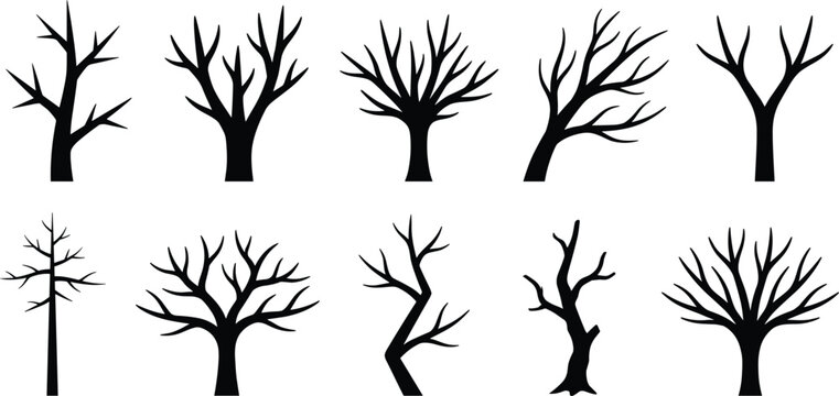 Leafless tree silhouette flat vector illustration featuring ten diverse branching patterns, winter forest design art, nature graphic, black-and-white drawing