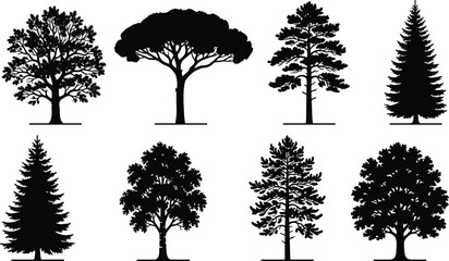 Obraz premium Tree silhouette vector illustration set, diverse icons with broadleaf and conifer shapes representing forest, landscape and nature theme - flat vector illustration