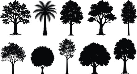 Fototapeta premium Tree silhouette flat vector illustration featuring ten diverse canopy and trunk shapes, botanical design art, landscape graphic, black-and-white drawingTree silhouette flat vector illustration