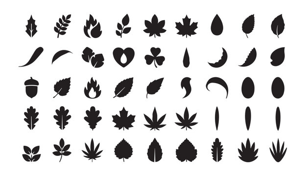 Collection of black silhouette icons representing various leaves and nature shapes with silhouettes botanical collection minimalist
