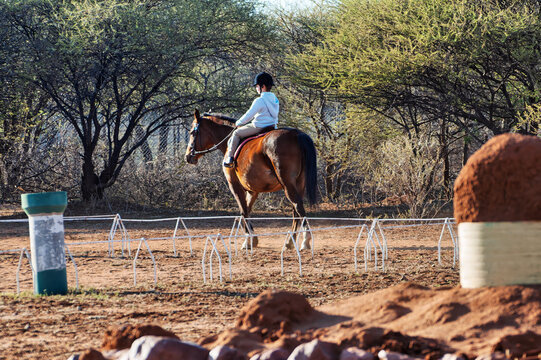 Young Girl Learning to Ride a Bay Horse in Outdoor Arena childhood development and equestrian training