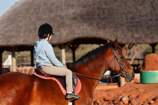 Young Girl Learning to Ride a Bay Horse in Outdoor Arena childhood development and equestrian training