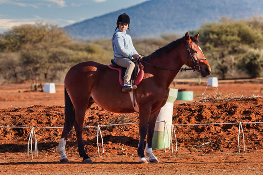 Young Girl Learning to Ride a Bay Horse in Outdoor Arena childhood development and equestrian training