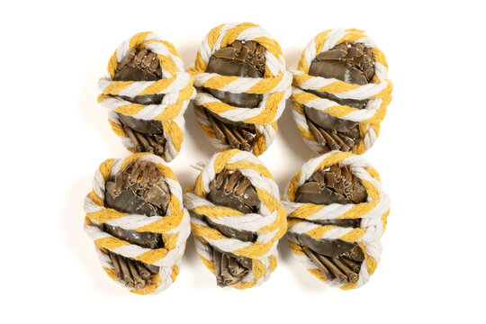 top view wrapped alive crabs on white