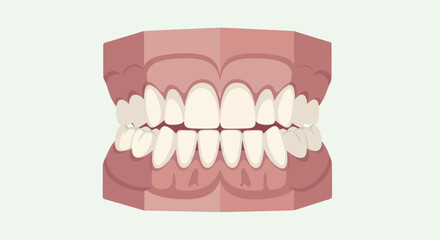 Detailed illustration of human teeth and gums in a dental model. © Nabih