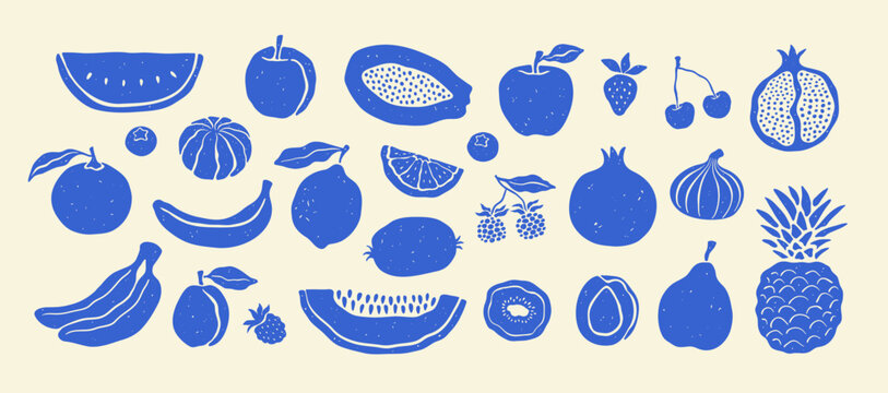 Hand drawn tropical summer fruit set