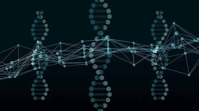 Dotted helices appearing, network nodes pulsing and aligning, forming bright peaks showing data