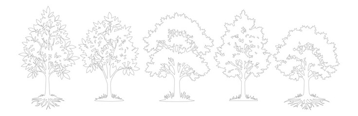 Obraz premium Minimalist tree line art collection, set of 5 deciduous tree vector icons, black and white botanical outline illustrations for landscape design